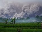 semeru-erupsi-awan-panas-menggulung-lereng-sumberwuluh-1763608400624_169 semeru-erupsi-awan-panas-menggulung-lereng-sumberwuluh-1763608400624_169